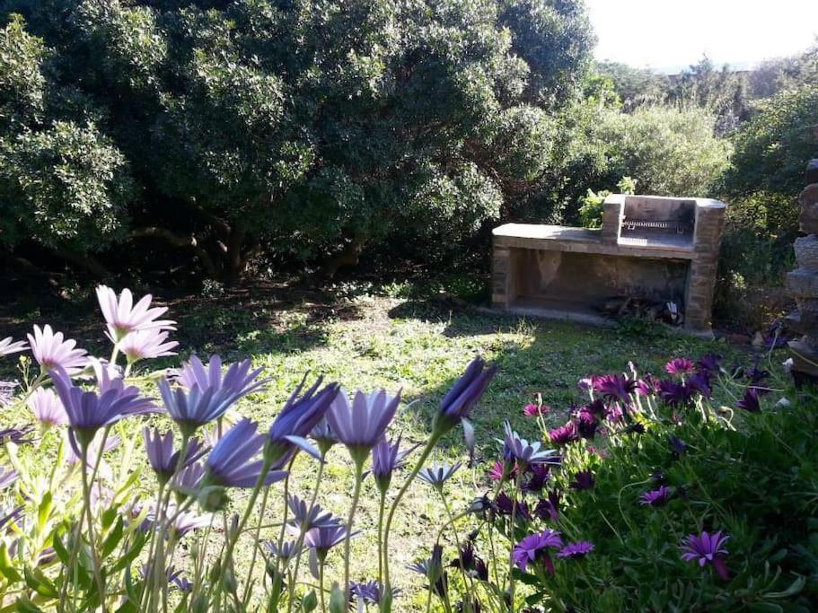 L' Elicriso, A Pochi Passi Dal Mare Con Giardino Privato - The Elicriso, A Few Meters From The Sea, With Private Garden Leilighet Stintino Eksteriør bilde