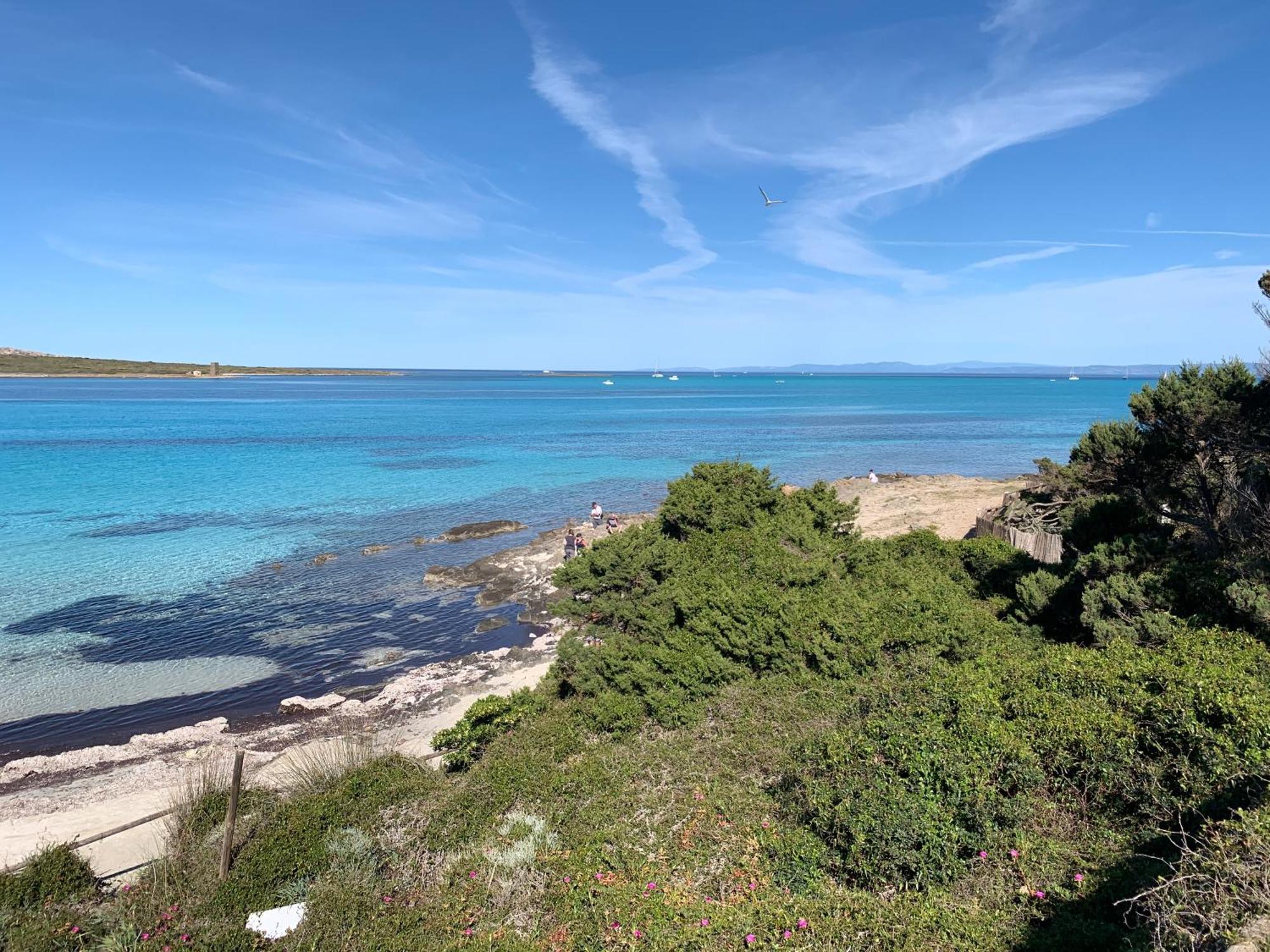 L' Elicriso, A Pochi Passi Dal Mare Con Giardino Privato - The Elicriso, A Few Meters From The Sea, With Private Garden Leilighet Stintino Eksteriør bilde