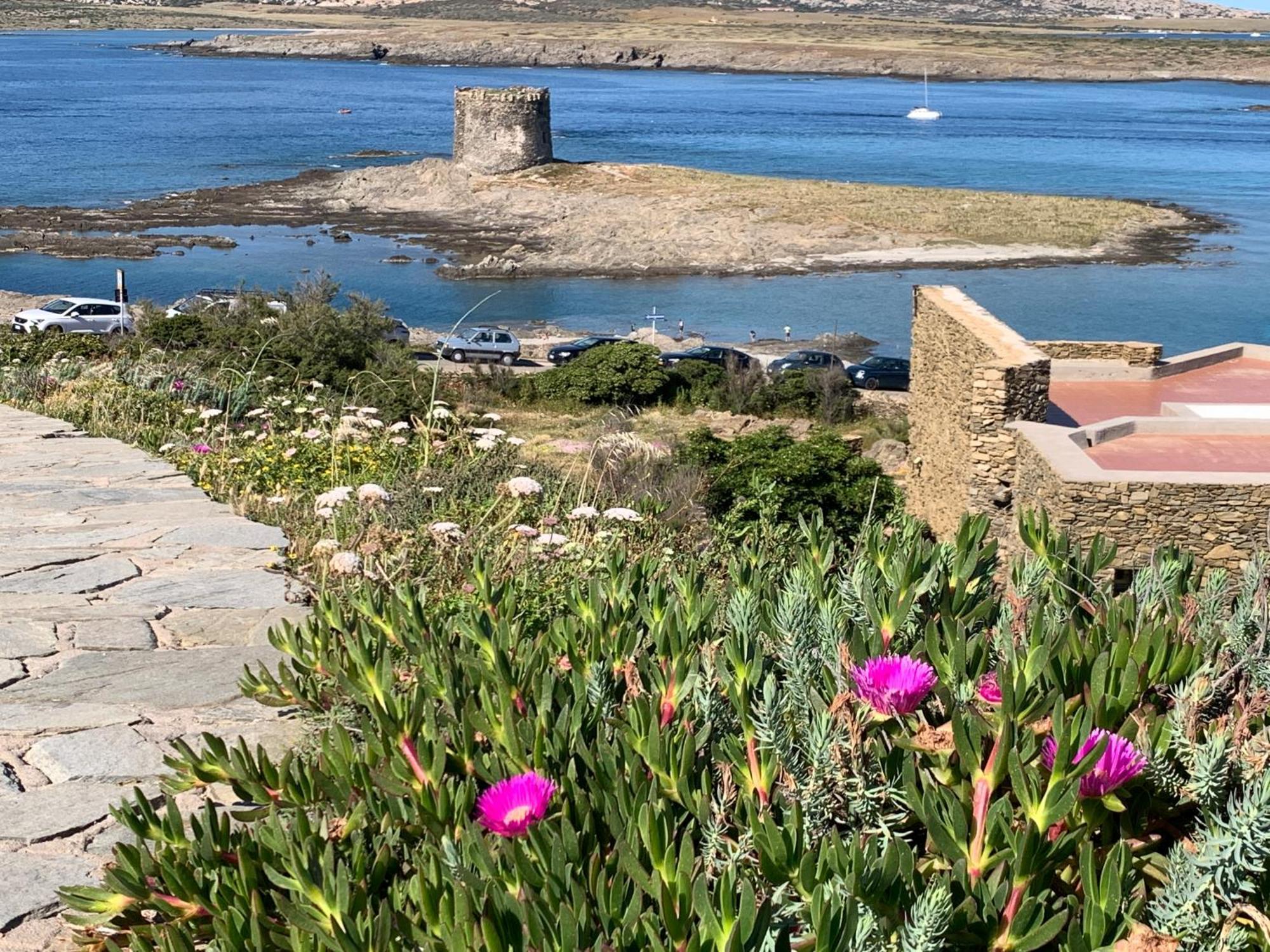 L' Elicriso, A Pochi Passi Dal Mare Con Giardino Privato - The Elicriso, A Few Meters From The Sea, With Private Garden Leilighet Stintino Eksteriør bilde